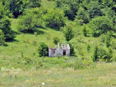 Прикрепленное изображение: IMGP6600.jpg